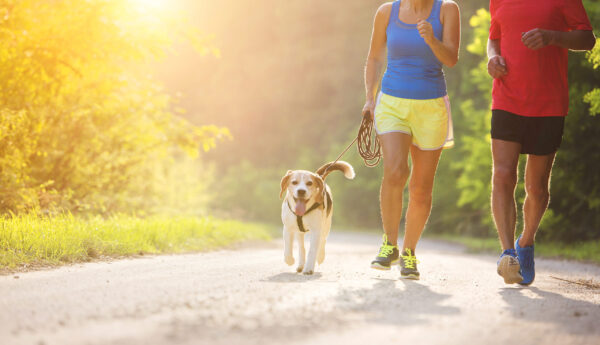 Siorai ways to reduce stress walking dog